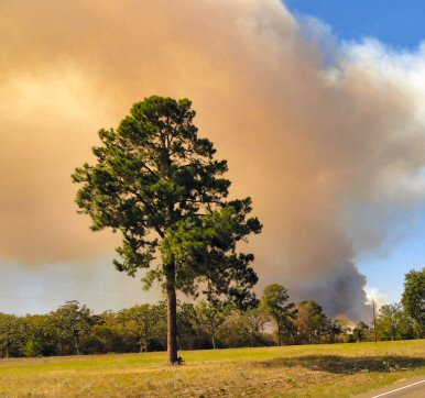 Texas fires